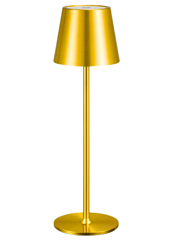 Lampshade Light